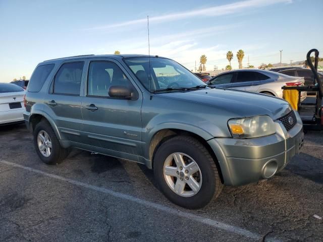 2006 Ford Escape HEV