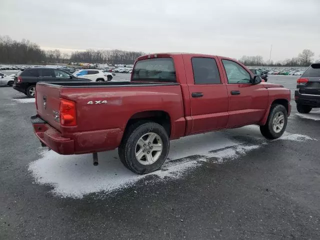 2010 Dodge Dakota SXT