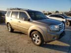 2010 Honda Pilot EXL