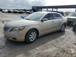 Toyota salvage cars for sale: 2008 Toyota Camry Hybrid