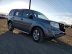 2013 Honda Pilot EXL