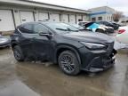 2023 Lexus NX 350H