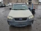 2006 Ford Escape XLT