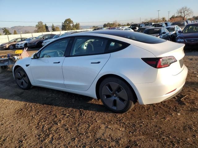 2021 Tesla Model 3