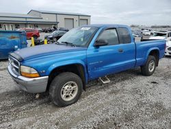 1999 Dodge Dakota en venta en Earlington, KY