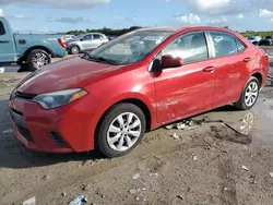 Salvage cars for sale at West Palm Beach, FL auction: 2015 Toyota Corolla L