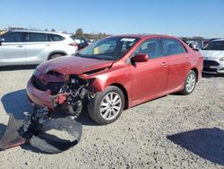 Salvage cars for sale at Lumberton, NC auction: 2010 Toyota Corolla Base