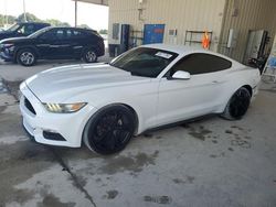 Salvage cars for sale at Homestead, FL auction: 2016 Ford Mustang