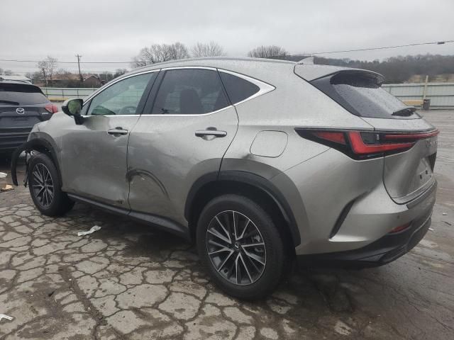 2025 Lexus NX 250 Premium