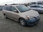 2005 Honda Odyssey EXL