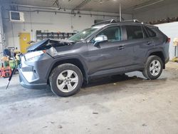 Toyota rav4 xle salvage cars for sale: 2019 Toyota Rav4 XLE