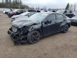 2023 Hyundai Elantra SEL en venta en Bowmanville, ON