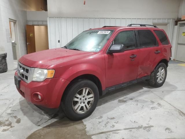 2010 Ford Escape XLT