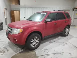 2010 Ford Escape XLT en venta en Leroy, NY