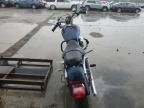 2004 Harley-Davidson XL883 C