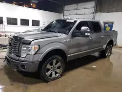 Salvage cars for sale at Blaine, MN auction: 2014 Ford F150 Supercrew