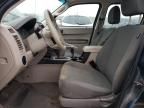 2010 Ford Escape XLS