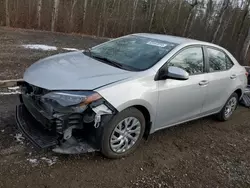 2019 Toyota Corolla L en venta en Cookstown, ON