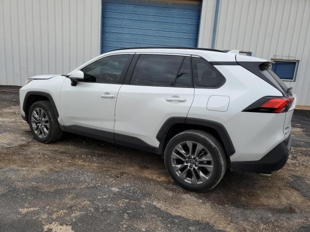 2024 Toyota Rav4 XLE Premium