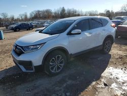 Salvage cars for sale from Copart Chalfont, PA: 2020 Honda CR-V EXL