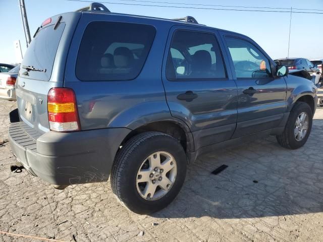 2006 Ford Escape XLT