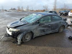 Salvage cars for sale at Montreal Est, QC auction: 2013 Honda Civic LX