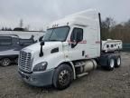 2017 Freightliner Cascadia 113