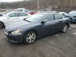 2012 Nissan Maxima S en venta en Baltimore, MD