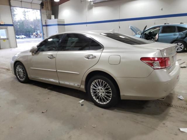 2010 Lexus ES 350