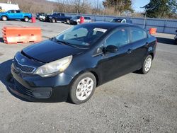 Salvage cars for sale at Grantville, PA auction: 2013 KIA Rio LX