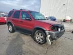 2005 Ford Escape XLT