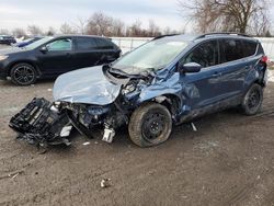 Salvage cars for sale at London, ON auction: 2018 Ford Escape SEL