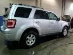 2010 Ford Escape Limited