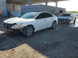 Salvage cars for sale at West Palm Beach, FL auction: 2011 Nissan Maxima S