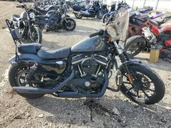 Salvage motorcycles for sale at Elgin, IL auction: 2022 Harley-Davidson XL883 N