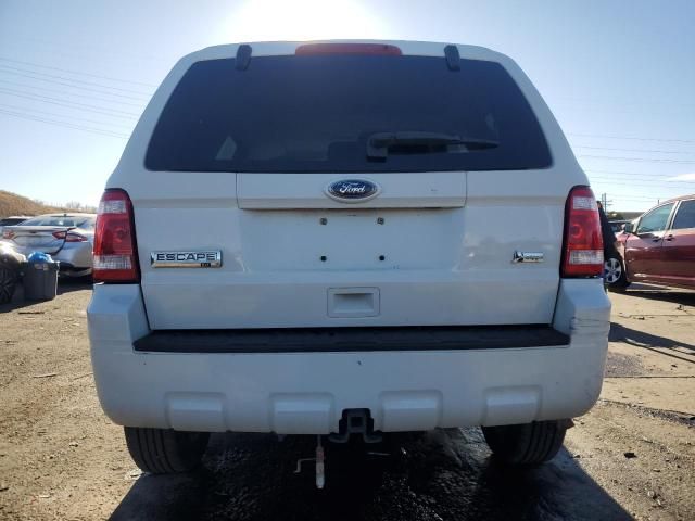 2010 Ford Escape XLT