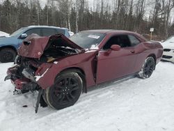 Dodge salvage cars for sale: 2019 Dodge Challenger GT