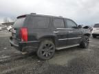 2008 Cadillac Escalade Luxury