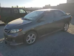 Salvage cars for sale from Copart Mentone, CA: 2013 Toyota Corolla Base