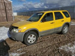 2001 Ford Escape XLT en venta en Rapid City, SD