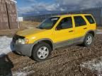 2001 Ford Escape XLT