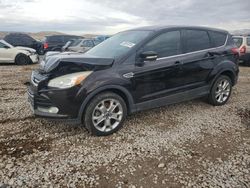 Ford salvage cars for sale: 2013 Ford Escape SEL