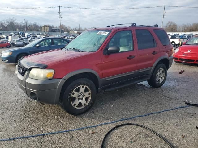 2005 Ford Escape XLT