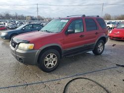 Ford Escape Vehiculos salvage en venta: 2005 Ford Escape XLT