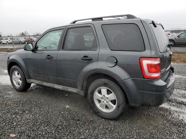 2009 Ford Escape XLT