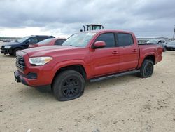 Toyota salvage cars for sale: 2019 Toyota Tacoma Double Cab