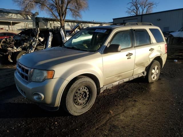 2011 Ford Escape XLT