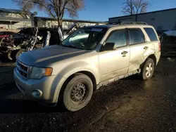 2011 Ford Escape XLT en venta en Albuquerque, NM