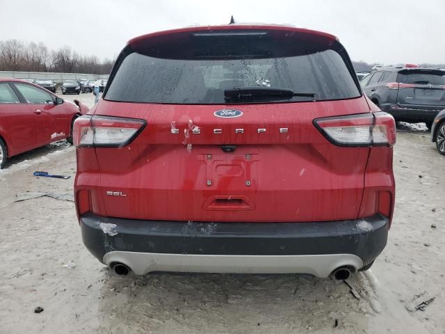 2021 Ford Escape SEL