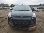 2013 Ford Escape S